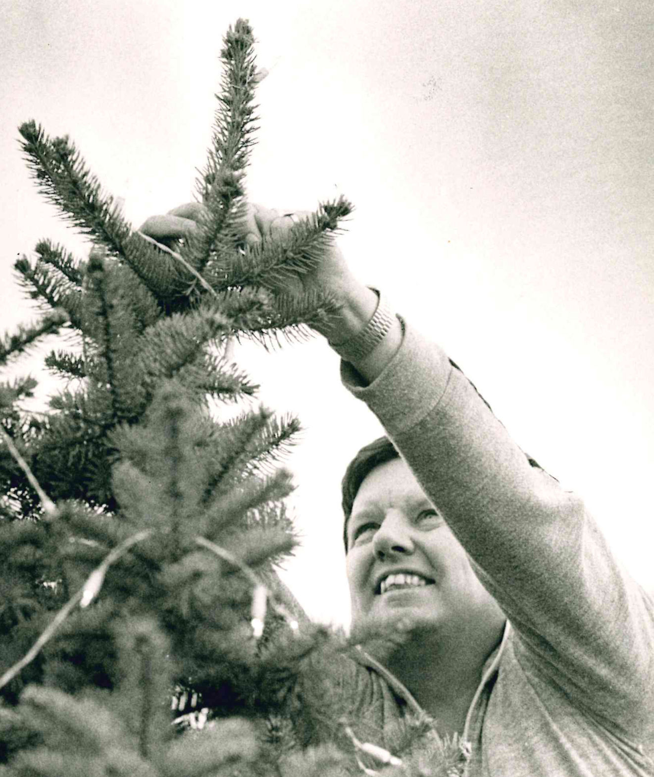 Tree trimming time